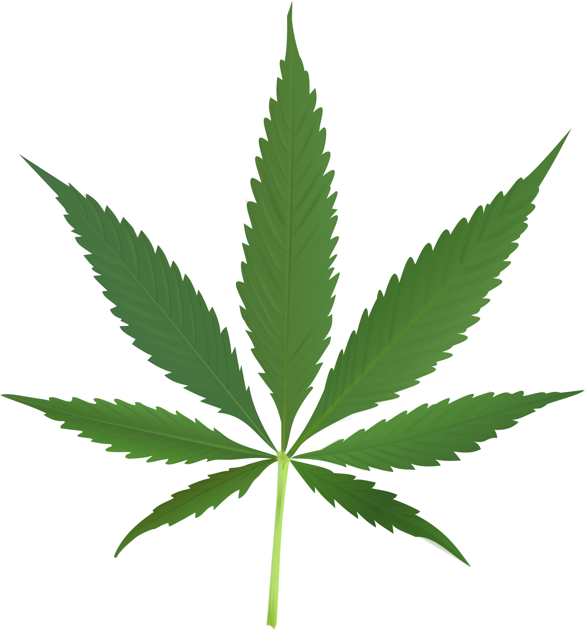 Transparent Leaf Sativa - La Hoja De Marihuana (946x1024), Png Download