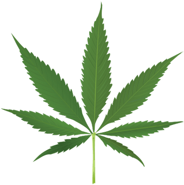 Pot Leaf (400x400), Png Download