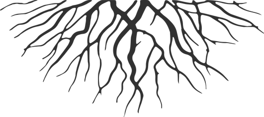 Download Roots Png - Roots Cartoon PNG Image with No Background 