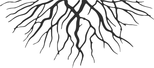 Download Roots Png - Roots Cartoon PNG Image with No Background Download Roots Png - Roots Cartoon PNG Image with No Background
