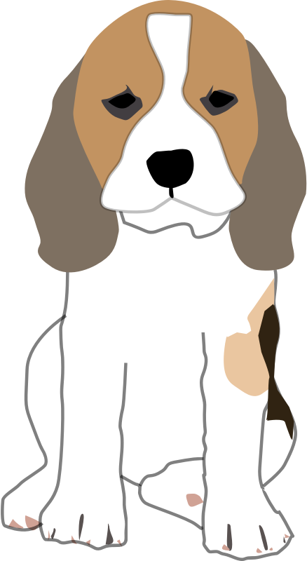 Beagle Clipart Baby Puppy - Beagle Clip Art (409x749), Png Download