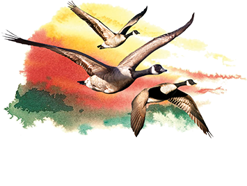 Wild Goose Vineyards - Wild Goose Vineyards & Winery Inc (485x266), Png Download