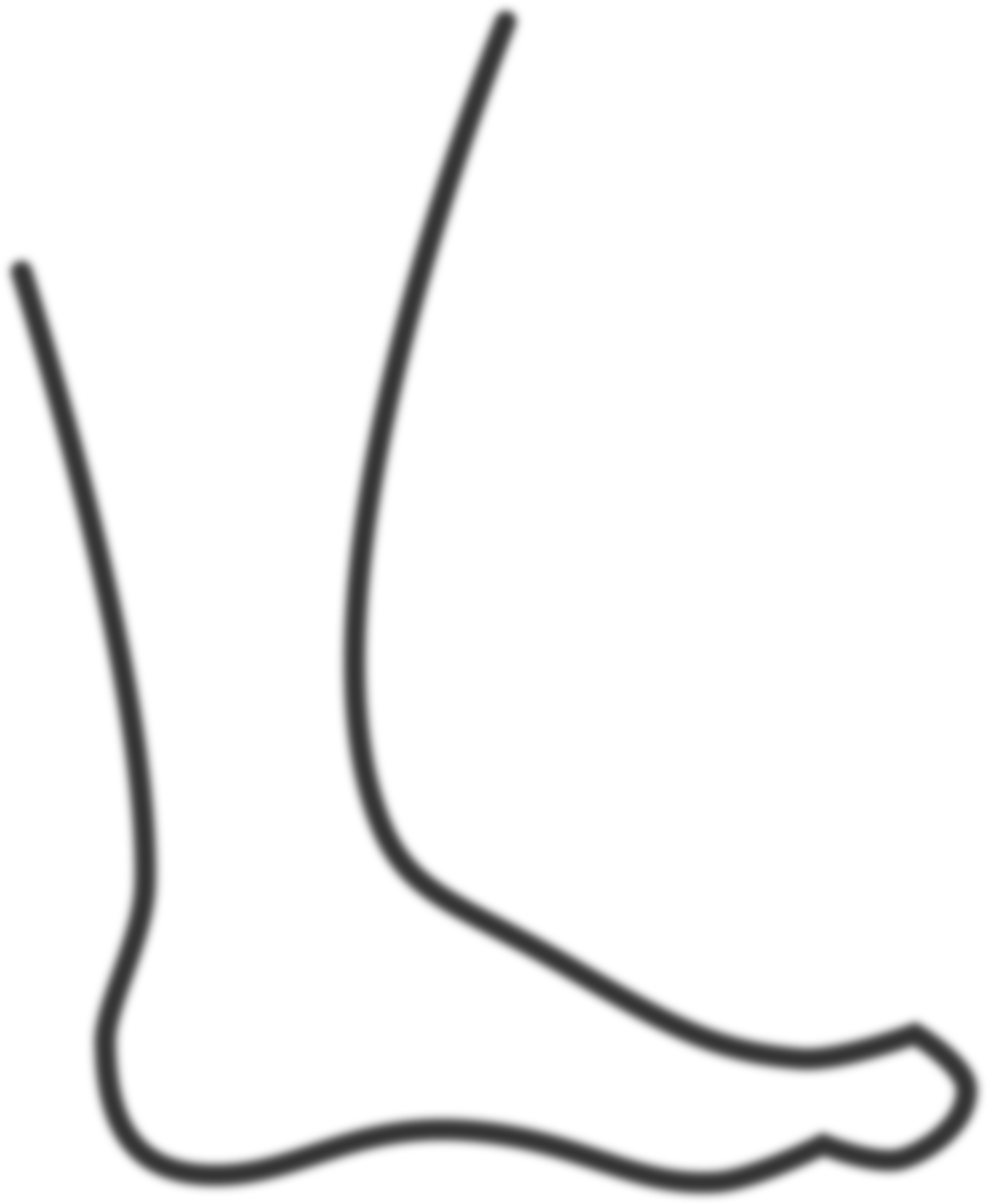 Foot (1970x2400), Png Download