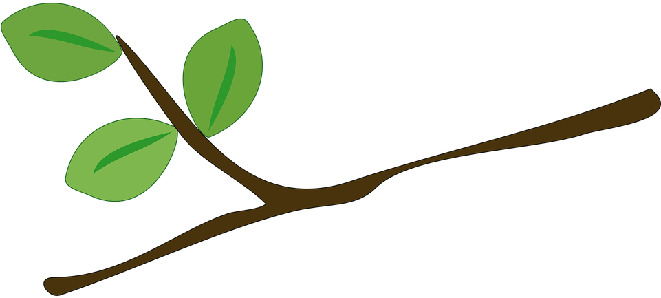 Branch Cartoon (600x266), Png Download
