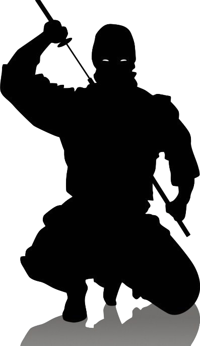 Ninja Png (397x685), Png Download