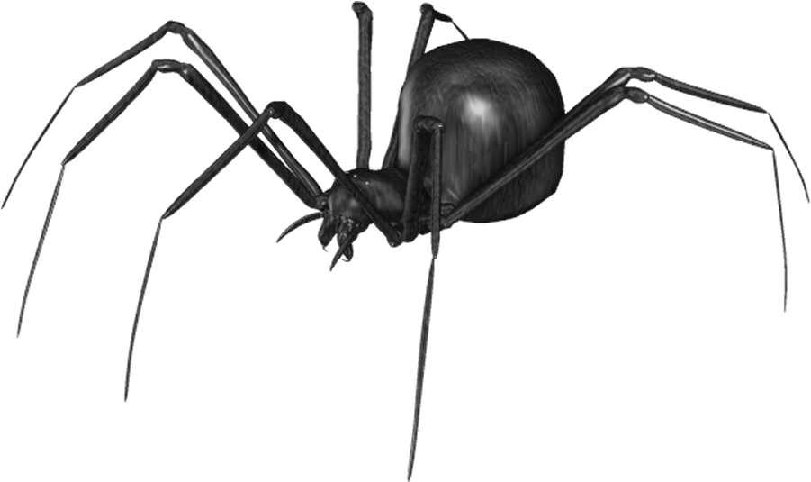 Spider Png Clip Art - Araña Negra Png (922x548), Png Download