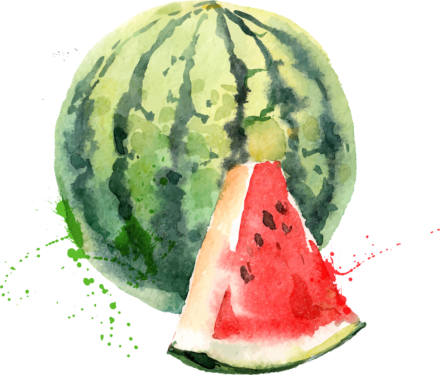 Watermelon 1466*1250 Transprent Png Free Download - Water Colour Fruit And Vege (1466x1250), Png Download