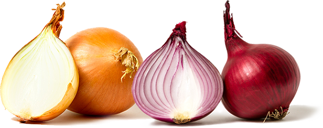 More To Still Life Than Onions - Onion For Hair Growth In Urdu (650x259), Png Download