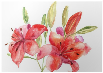 Beautiful Lily Flowers, Watercolor Illustration Poster - Designart - Lily Flowers Illustration - Floral Art (400x400), Png Download
