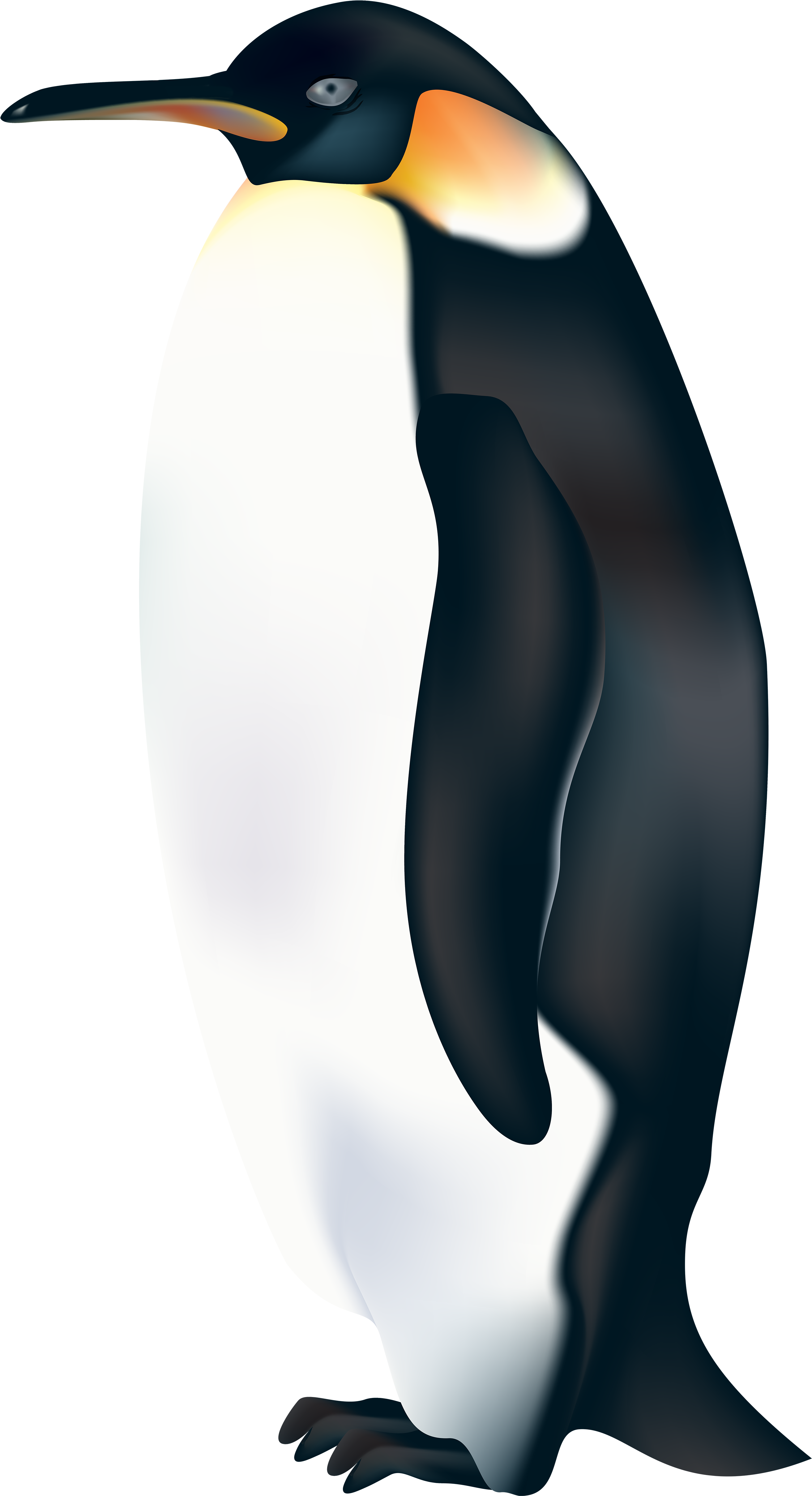 Penguin Png Clip Art - Emperor Penguin Clipart (2713x5000), Png Download