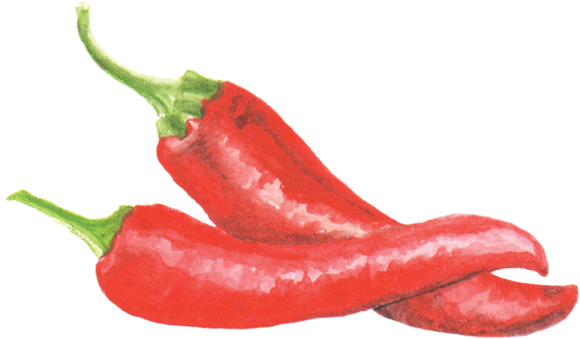 File - 辣椒cayennepepper - Capsicum (821x481), Png Download