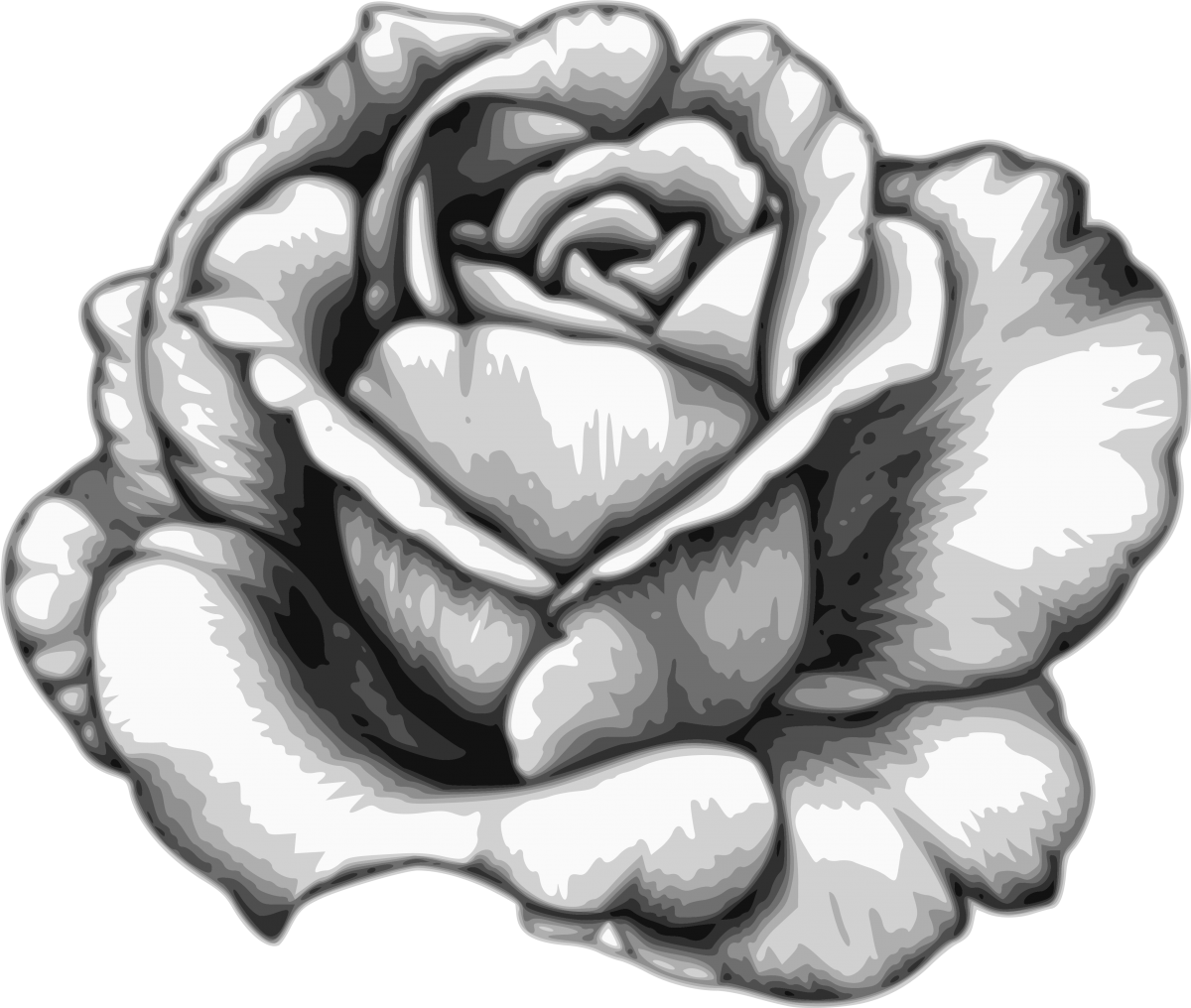 Drawing Flower Watercolor Black White - Rose Fleur Dessin Realiste (1200x1016), Png Download