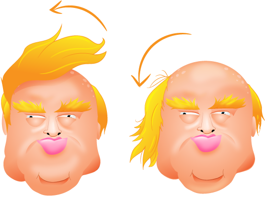 Trump's Actual Hair Trump - Donald Trump Emojis (536x404), Png Download