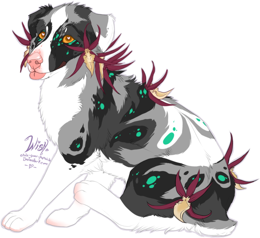 Spider Orchid Aussie Pup - Brassia (894x894), Png Download