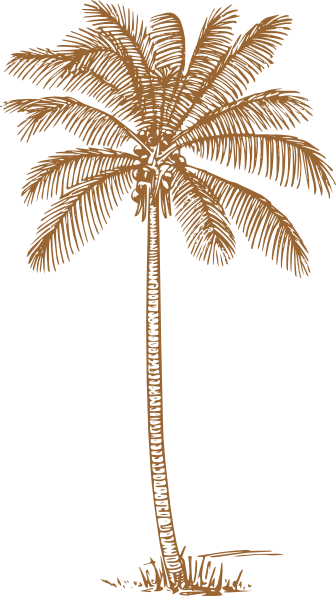 Palm Trees Wedding Invitations - Coconut Tree Clipart Black And White (336x596), Png Download