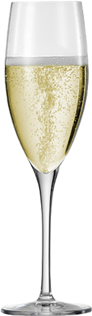 Champagne Glass Png - Champagne Stemware (312x559), Png Download