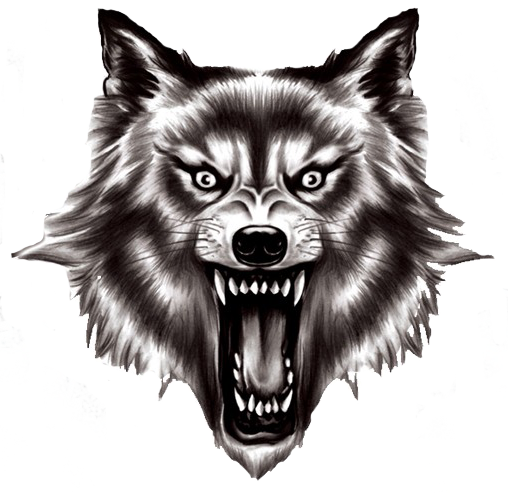 Download Real Wolf Png - Wolf Head Transparent Background ...