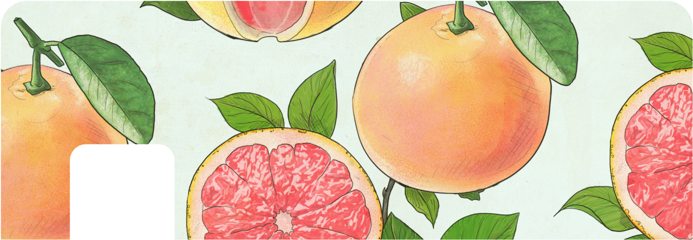 Grape Fruits - Grapefruit (1500x600), Png Download