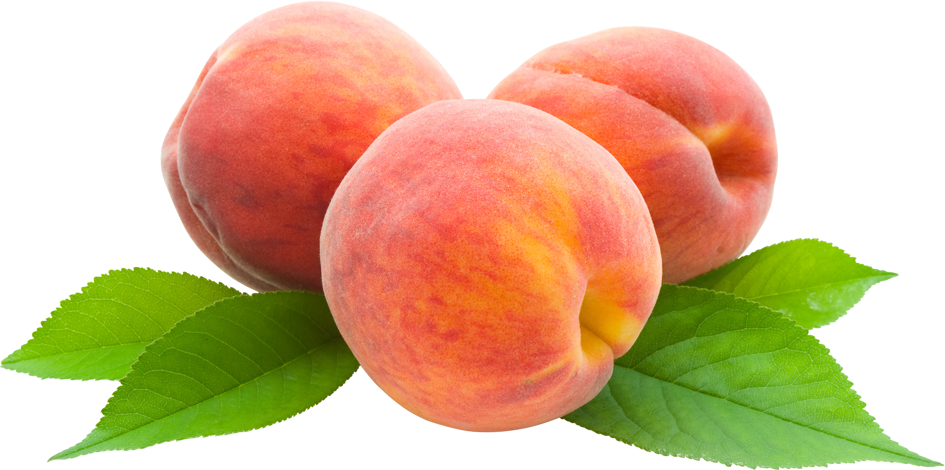 Peaches - Peach Png (3214x1598), Png Download