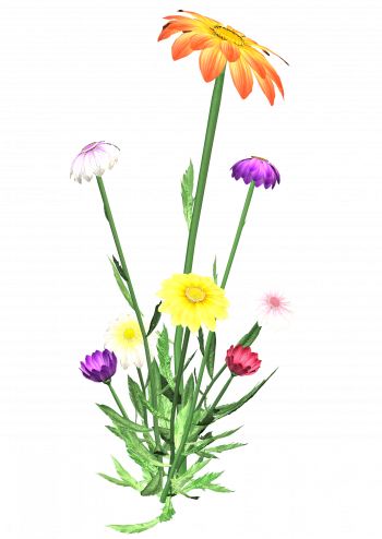 Tubes Fleurs I Think Of You, Magnolia, Thinking Of - Flower (350x494), Png Download