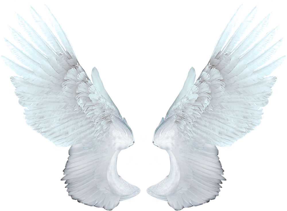 Angel Wings Png Transparent - Memory Of Michael Jackson (1000x736), Png Download
