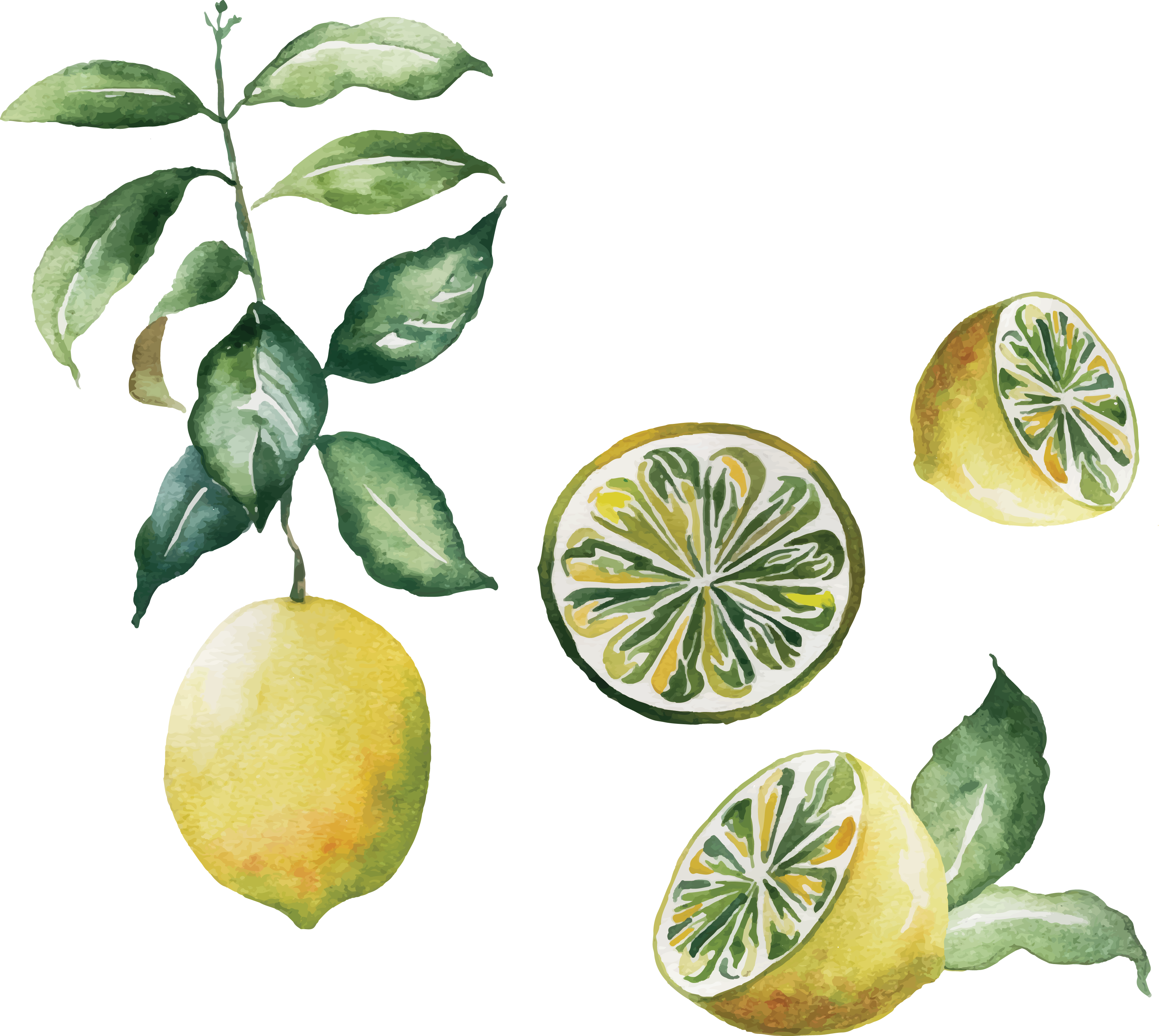 Poster Watercolor Painting Kitchen - Lemon Design (3318x2967), Png Download