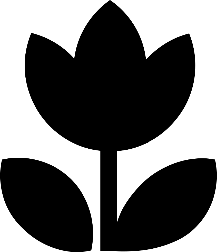 Plants Comments - Portable Network Graphics (846x980), Png Download