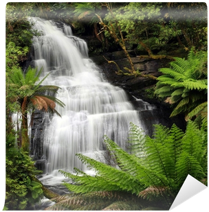 Tropical Wet Green Forest In India (400x400), Png Download