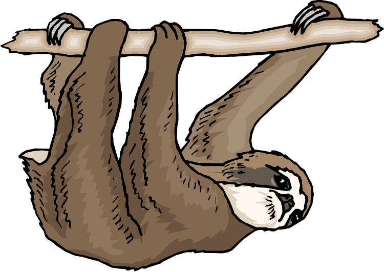 Stitch Pinterest And Animal - Three Toed Sloth Clipart (750x531), Png Download