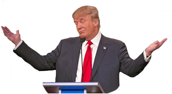 Donald Trump Transparent Image - Confused Transparent (586x600), Png Download