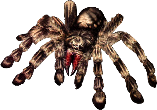 Giant Spider Png - Giant Spider Transparent (515x360), Png Download