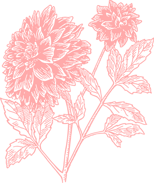 Light Flower Print Clip - Flower Print Png (504x598), Png Download