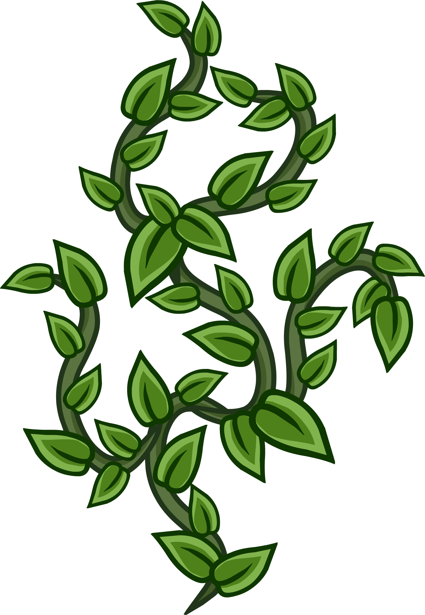 Vines - Vines Png (1485x2147), Png Download