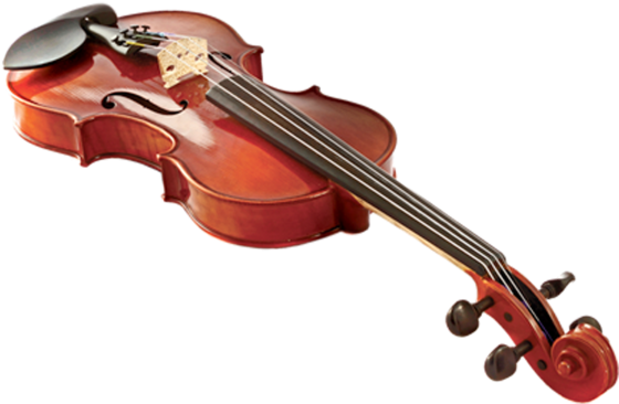 Violin Png Free Download - Violin Png (600x534), Png Download