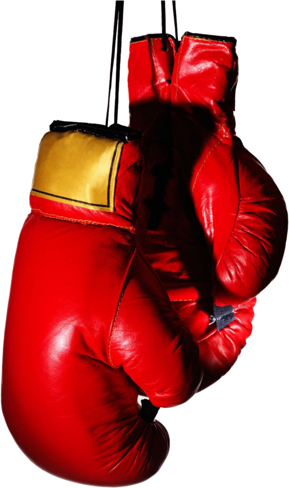 Boxing Gloves Png Transparent Image - Boxing Gloves Transparent Background (808x1024), Png Download