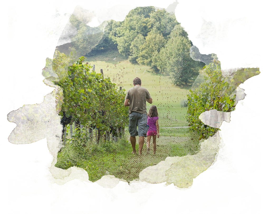 Valley - Vacation (997x812), Png Download