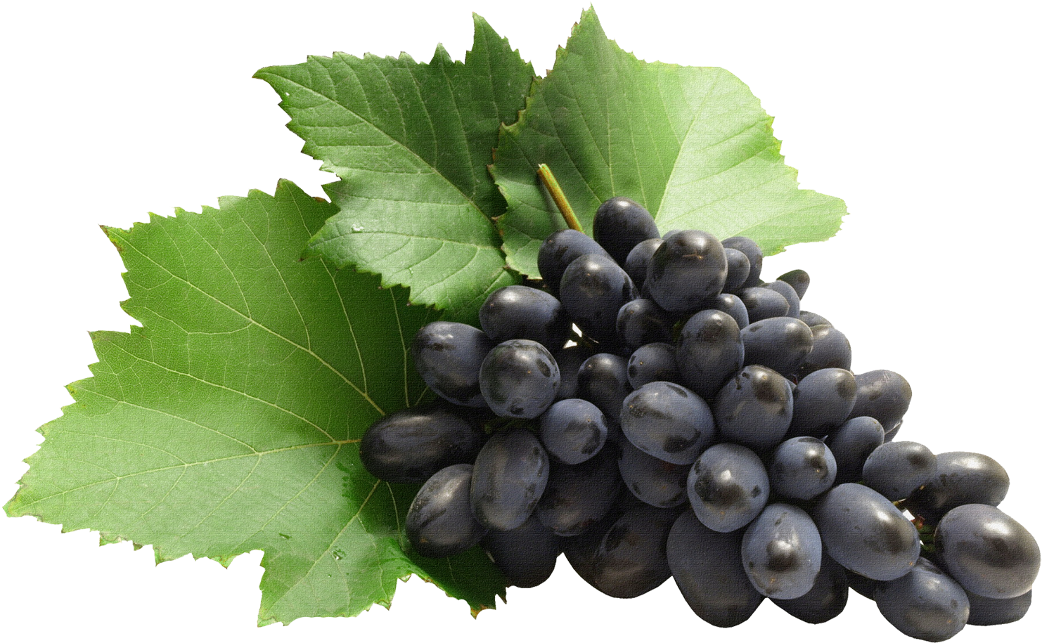 Fruits Png Images Hd (1500x914), Png Download