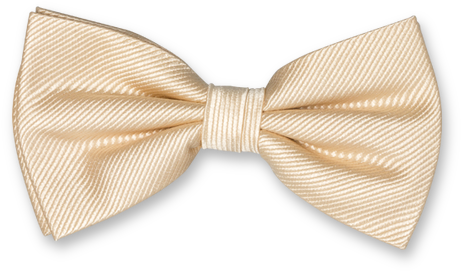 Champagne Bow Tie - Champagne Bow Tie Png (524x524), Png Download