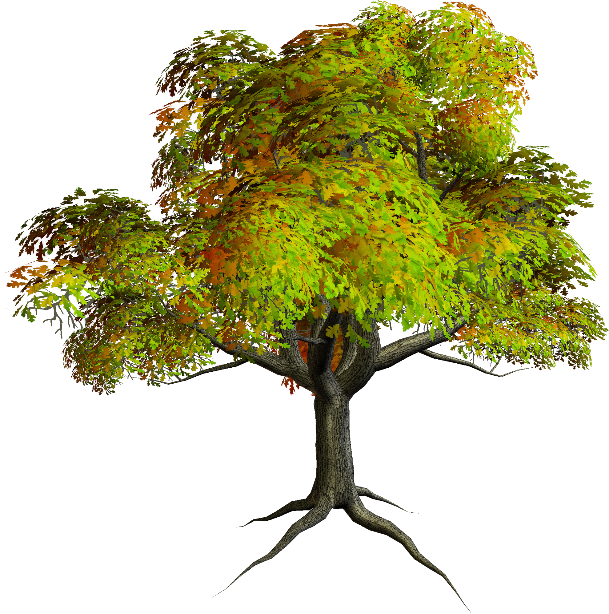Tree Png For Editing (2000x2021), Png Download