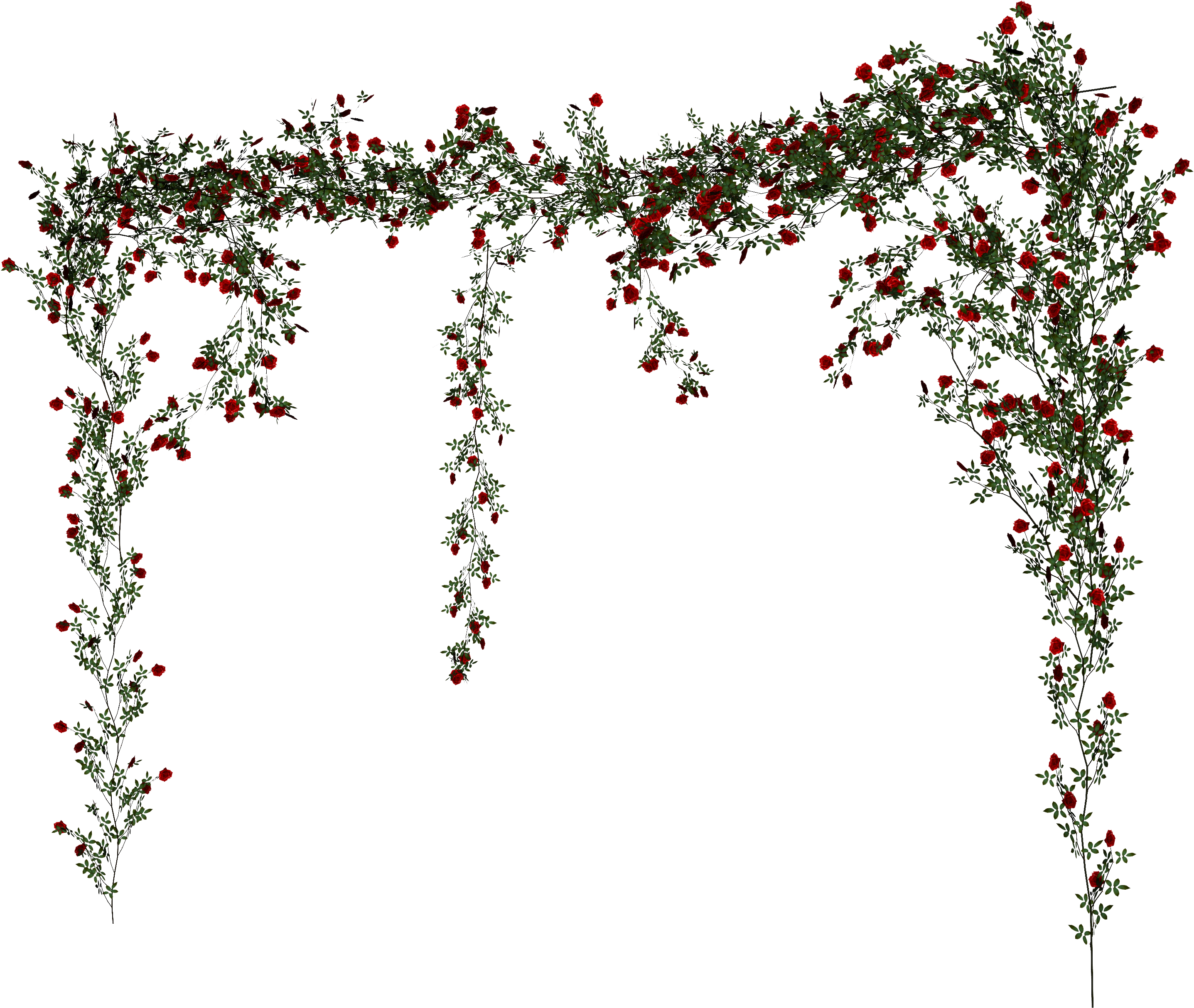ветка плакучей ивы. вьющиеся цветы на прозрачном фоне. ветка плакучей ивы. акварельные ветки. ампельная зелень эвкалипт.