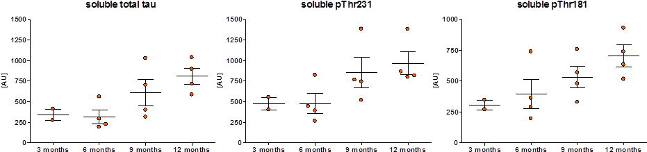 Soluble Total And Phosphorylated Tau Levels In The - Diagram (1020x298), Png Download