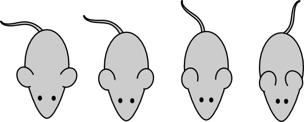 Mouse Clipart Laboratory - Lab Mouse Clipart (600x241), Png Download