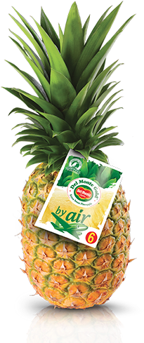 Del Monte Gold® By Air - Del Monte Whole Pineapple (331x505), Png Download