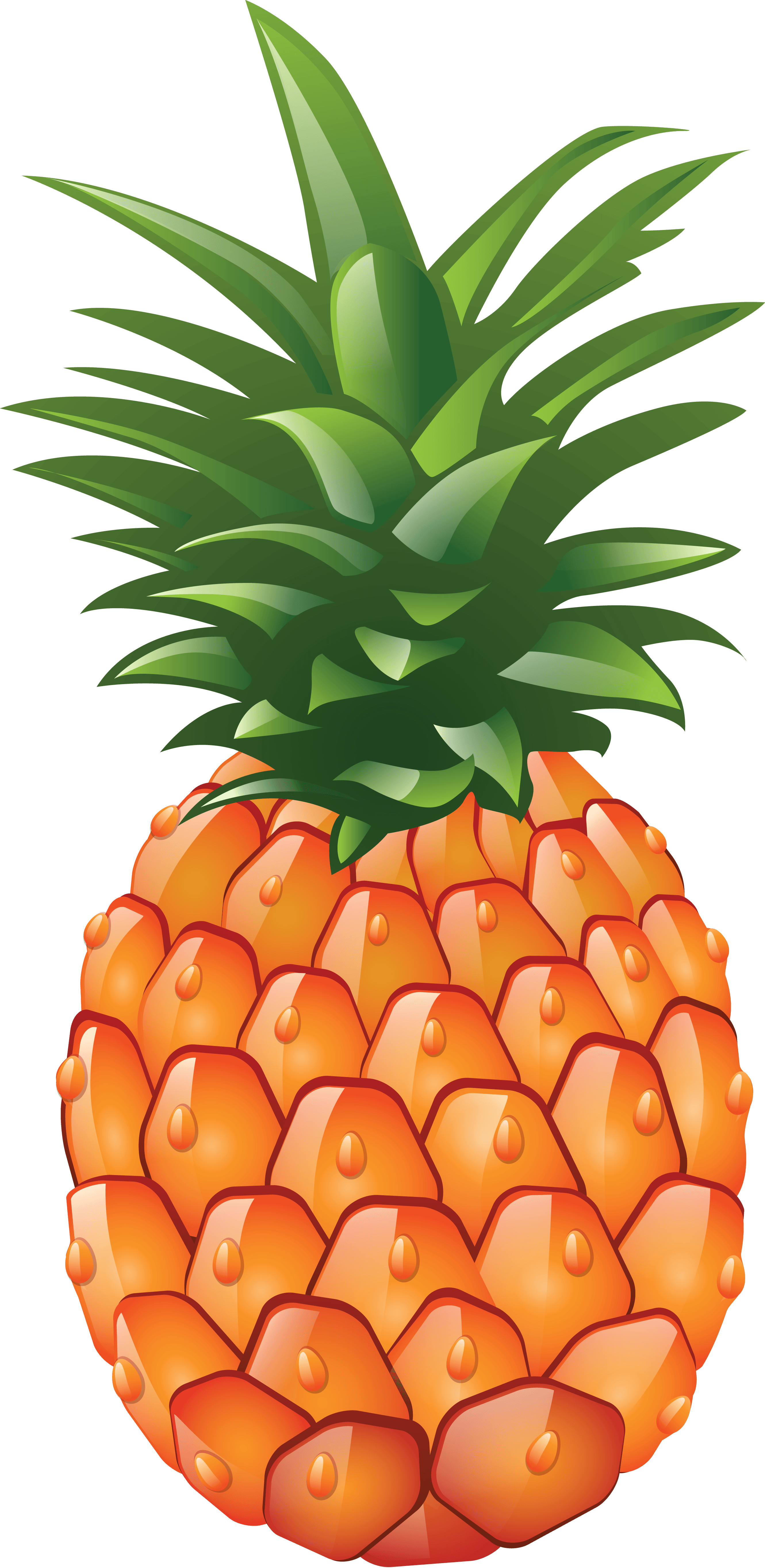 Pineapple - Pineapple Png (2661x5455), Png Download