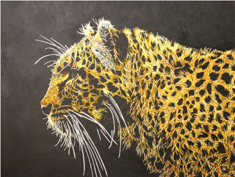 Bchs Today Volume - White Leopard Black Background (620x349), Png Download