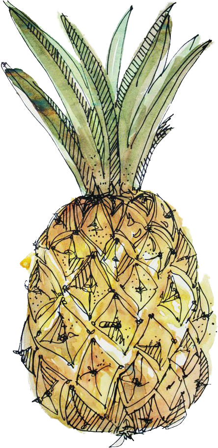 Paper Pineapple Drawing Watercolor Painting Illustration - Cute Tumblr Watercolor Drawings (736x1104), Png Download