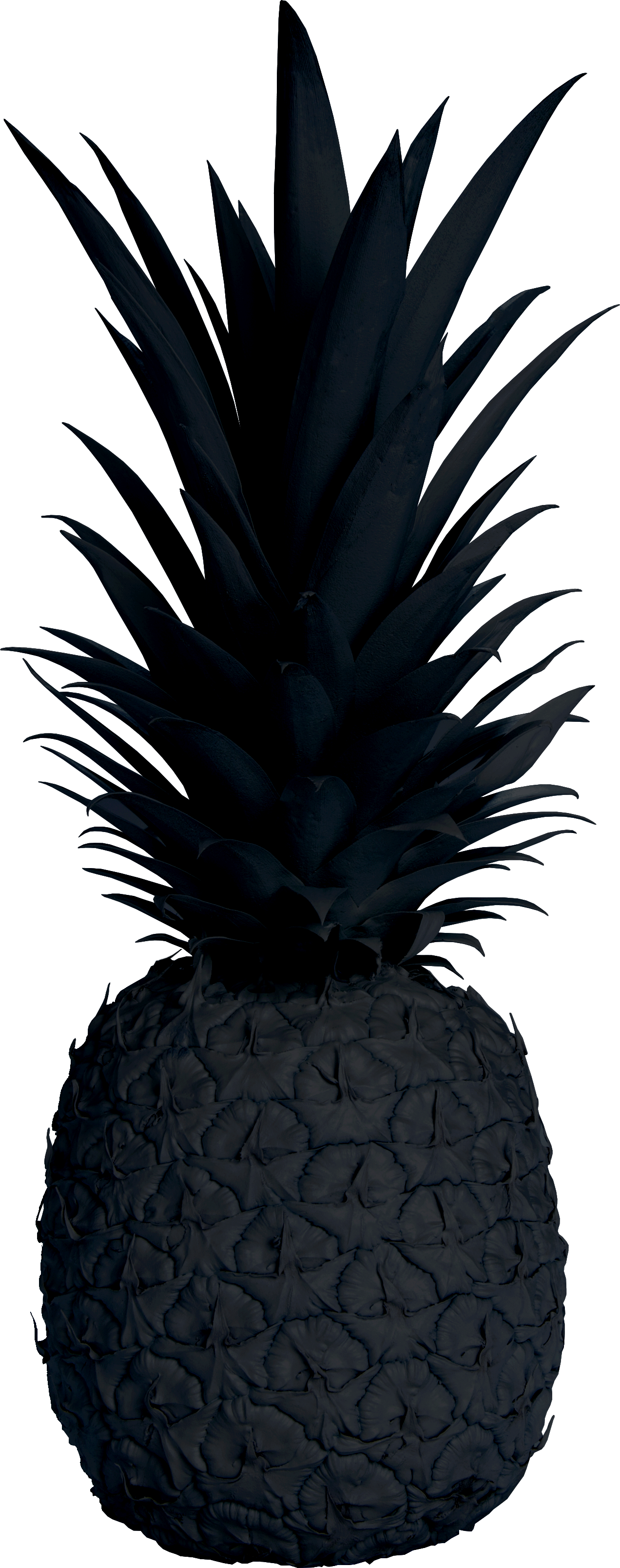 Home - Pineapple Transparent Black (1272x3217), Png Download