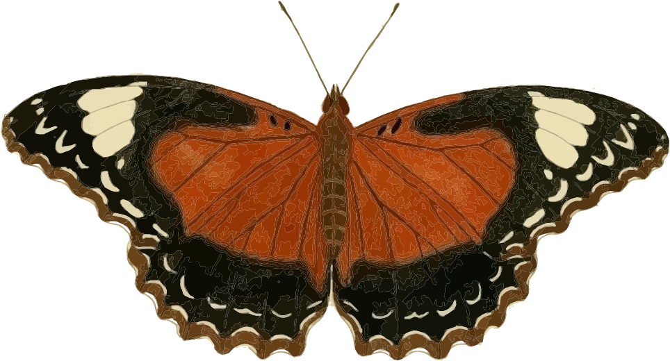 Small - Icanvas 'plate 62' By Cramer And Stoll Graphic Art (600x324), Png Download