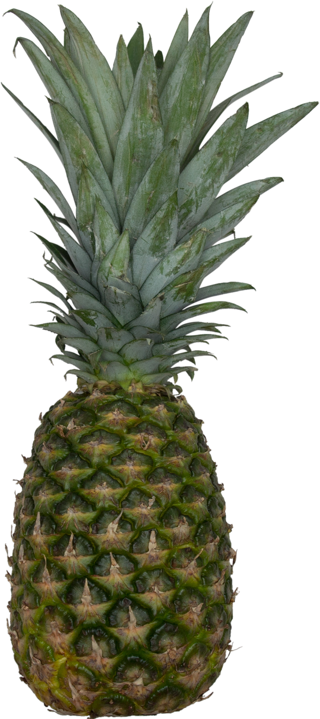 Pineapple (1083x2428), Png Download