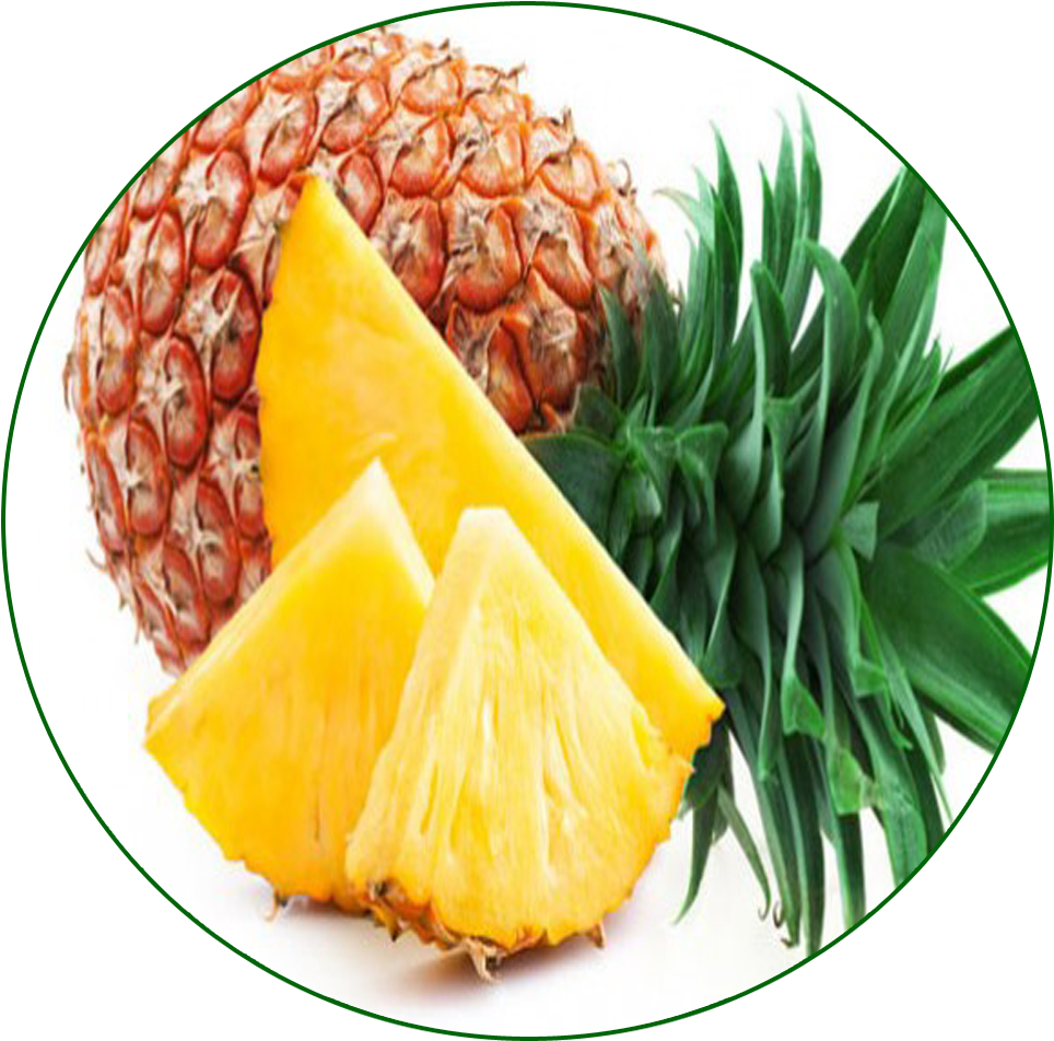 Pinapple - Shipping 200pcs 10 Kinds Bonsai Pineapple Seeds 100% (1011x1011), Png Download